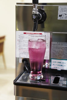 酒店 大阪心斋桥桥梁酒店 大阪